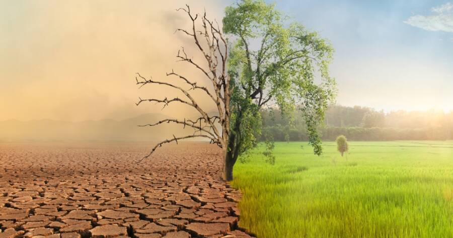 Scarcity Mindset vs. Abundance Mindset: Which Type Are You?